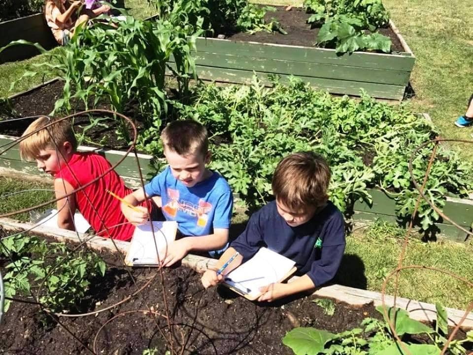Nature Summer Day Camp Programs | Building Blocks Montessori